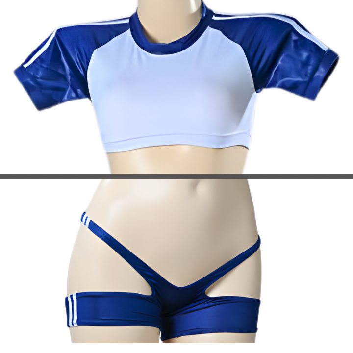 セクシー体操服（半乳光沢ストレッチ体操服）